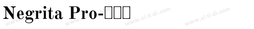 Negrita Pro字体转换